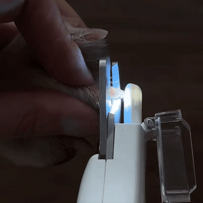 SafeClip – Klipp klor utan risk eller stress