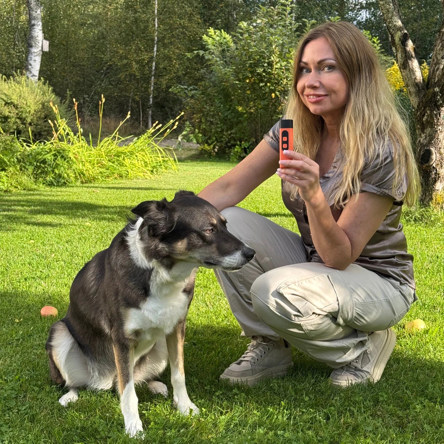 Varför fungerar BarkStop? 🐾